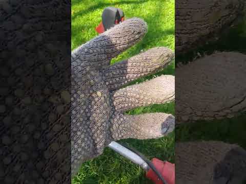 plaza 25 de mayo Capital San Juan Argentina 🇦🇷