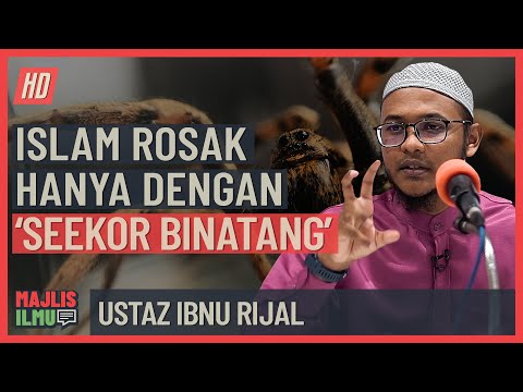 Ustaz Ibnu Rijal - Islam Rosak Hanya Dengan 'Seekor Serangga'