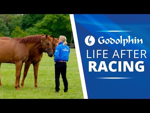 Life after Racing