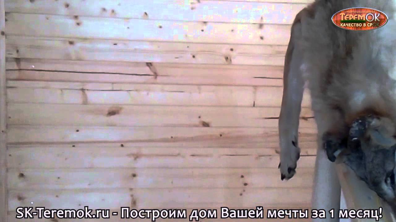 Индивидуальный проект заказчика