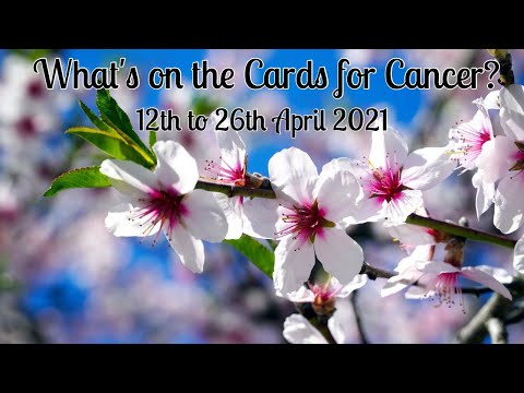 Cancer:  Signs and Synchronicities!   (12 - 26 April 2021)