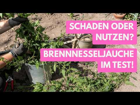 These plants love nettle manure – the ultimate gardening tip!