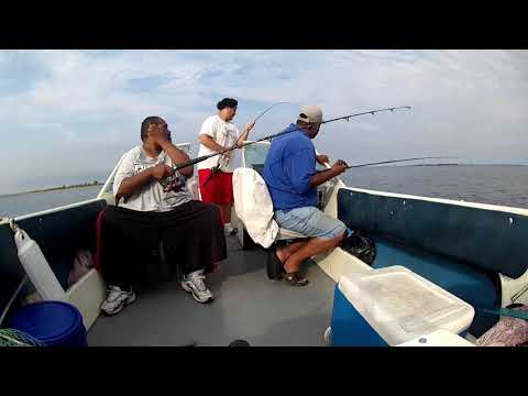 Reality Of fishing 5  PT 3  Best Fluke trip for us EVER!!!!!