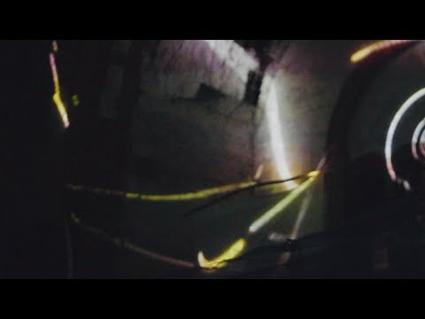 Trablisa – Flora Is A Man (Official Video)