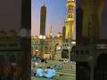 SUNAN NASAI 2205 Beautiful Status Islam Shourts Shortsviral Shortsvideo Islamic Madina Dua