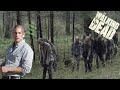 The BIGGEST Goofball Of The Century The Walking Dead Shane Walsh