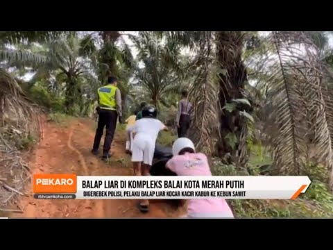 Pelaku Balap Liar Kocar-kacir Kabur ke Kebun Sawit