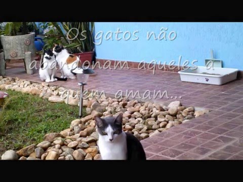 video thumnail