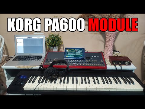 KORG PA600 MODULE WITH MIDI CONTROLLER