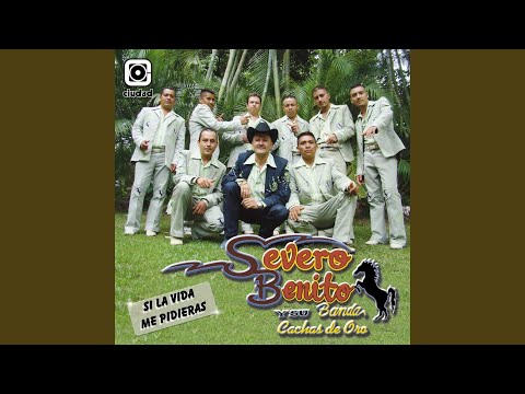 Si la Vida Me Pidieras