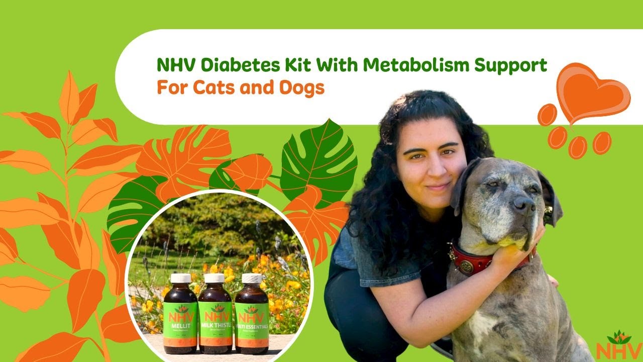 NHV Diabetes Kit with Metabolism Support Kit For Cats and Dogs