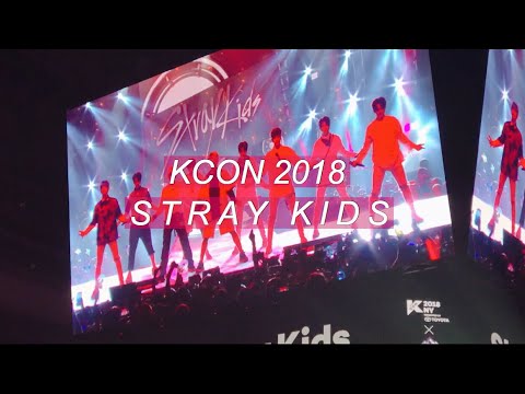 ♡ KCON NY 2018 || CONCERT VLOG DAY 1 || STRAY KIDS ♡