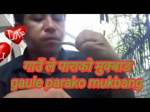 गाउँ ले पाराको मुक्बाङ gaule parako mukbang @Shishirallinone128