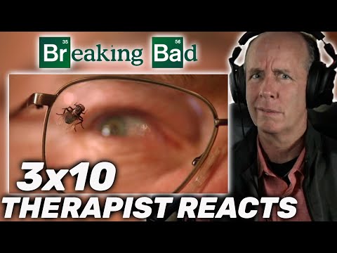 Fly | Therapist REACTS to Breaking Bad Season 3 Episode 10
