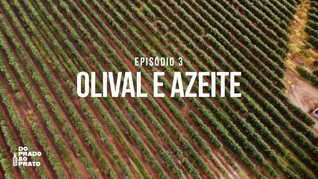 Do Prado ao Prato - Ep 3 ''OLIVAL E AZEITE''