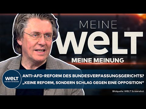 GUNNAR SCHUPELIUS: Reform des Bundesverfassungsgerichts "Versuch die AFD von Richterwahl abzuhalten"