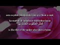 Holy Quran 29 41 45 Surat Al Ankabut With Romanian English Translation Arabic Transliteration