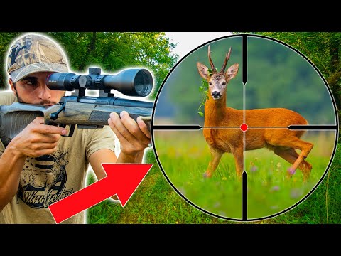 I Hunt Deer with a Rifle to Eat It! [Hunt-Cook-Eat]