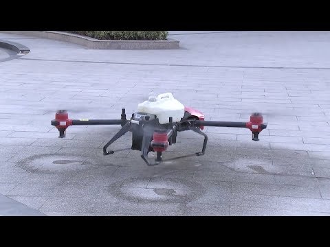 youtube video image