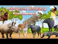 Mengenal Binatang Khas Indonesia Lagu Anak Indonesia Lagu Hewan Indonesia