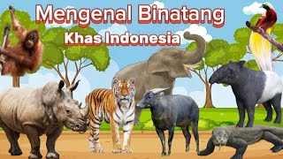 Download lagu Mengenal Binatang Khas Indonesia | Lagu Anak Indonesia | Lagu Hewan Indonesia mp3