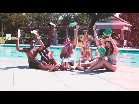 DEEPAIM x 2Music Brothers - VIP (Is In The Back) (Official Video)