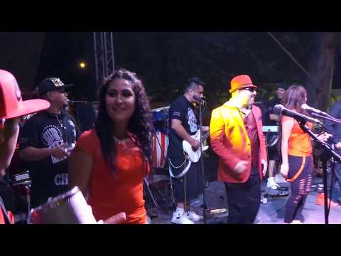 La cumbia de los pajaritos