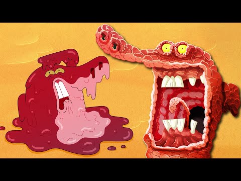 Zig & Sharko | NEW SEASON 4 🥵 HEAT WAVES - Compilation in HD