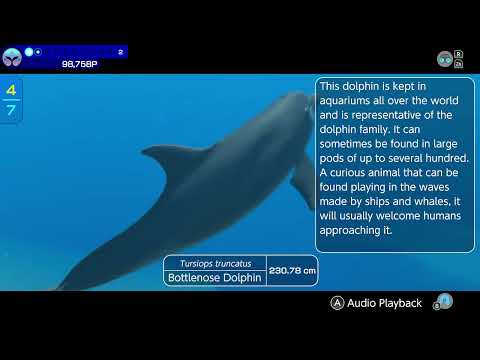 Bottlenose Dolphin Endless Ocean Luminous