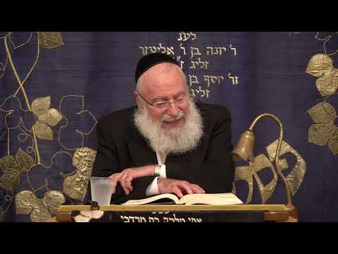 שבות דשבות במקום מצווה | שיעור שבועי מאת מרן הרב אשר וייס שליט"א | פרשת תזריע מצורע (תשפ"ה)