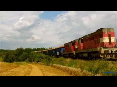 ČDC 742.333+285 / 753.762+763