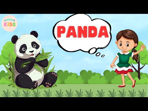 Panda Facts For Kids 🐼 Learn All About Pandas | MON Kids