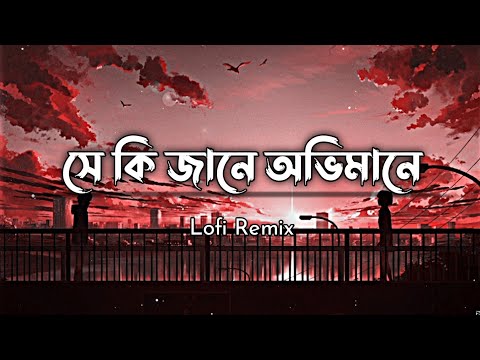 Shey Ki Janey ( সে কি জানে ) Raz Dee | Tanveer Evan ( Lofi  Remix )