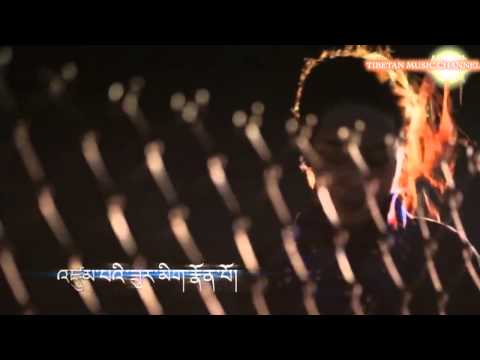 Tsewang lhamo 2014(2)