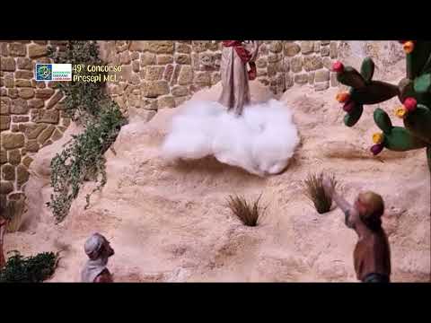 Antonio Franco Donato - Milazzo (ME) | COD 2655