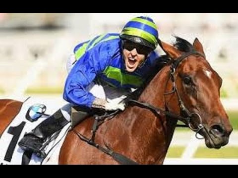 2016 SEVEN News Caulfield Cup Sports Report