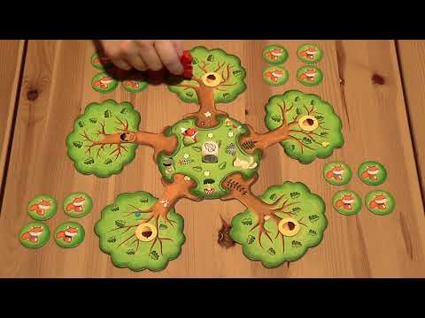 Mókuskaland társasjáték - d3meeples