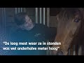 Henk redt mishandelde paarden en geeft ze weer een leven | RTV Oost