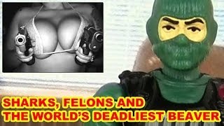 World's Best Mugshot, Near Fatal Beaver Attack, Football Full Of Drugs