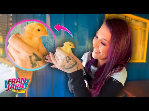 MY NEW MASCOT!!! - Fran Japa