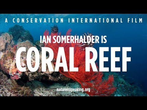 Nature Is Speaking: Ian Somerhalder adalah Terumbu Karang | Conservation International (CI)