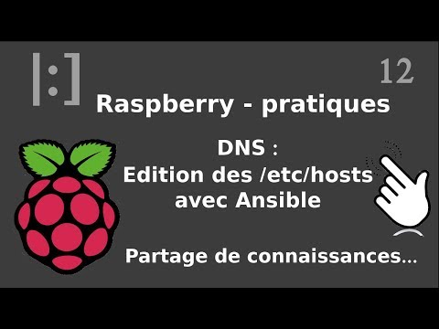 Raspberry Pi 12 DNS édition de etc hosts avec ansible
