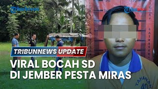 LIVE: Viral Aksi Bocah SD di Jember Pesta Miras hingga Teler, Penjual Arak jadi Tersangka