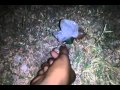 Love Cheyyaala Oddhaa song in kumari 21 f Bomb Blosting in my video