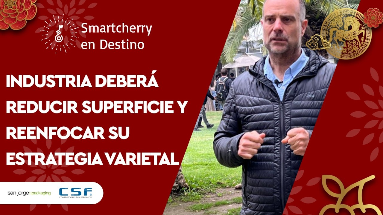 Reestructura y nueva definición varietal: Claves para el futuro de la industria cerecera