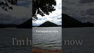 Download lagu #entertainment: #calumscott (#youarethereason) You Are The Reason #viral #pop #music #song mp3