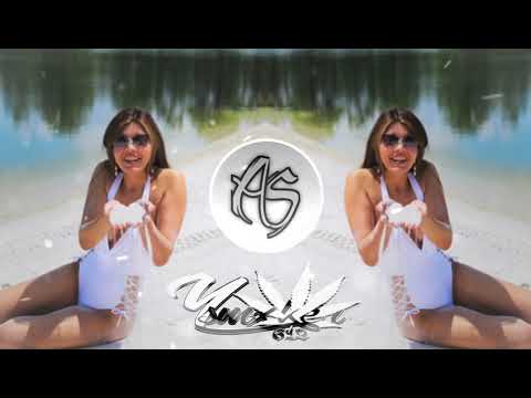 NP HEAVEN x ASKOM • BASTA LION • 4LFSWDZ_2020