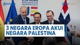 Spanyol, Irlandia, dan Norwegia Resmi Akui Negara Palestina, Total 145 Negara Telah Setuju