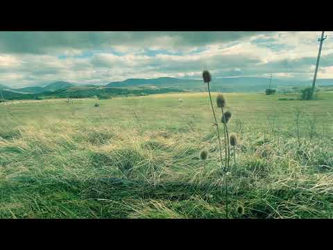 Ilidia ― Octombrie 2020