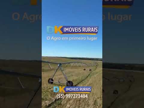 Arrendamento Rural | Oportunidades em Santana do Livramento, Santo Antônio das Missões e São Gabriel